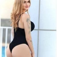 Viola